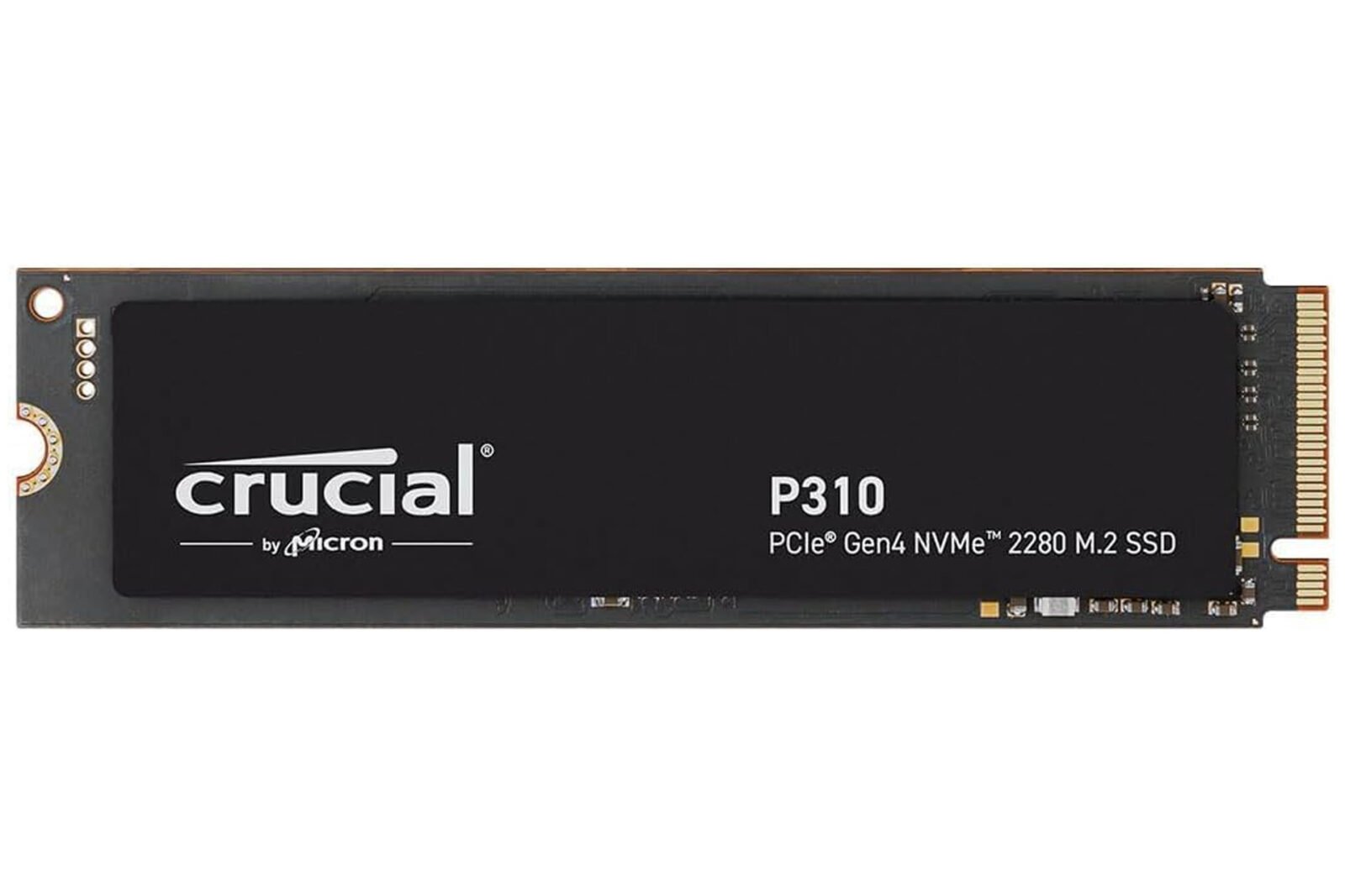 crucial-p310-1600×1067